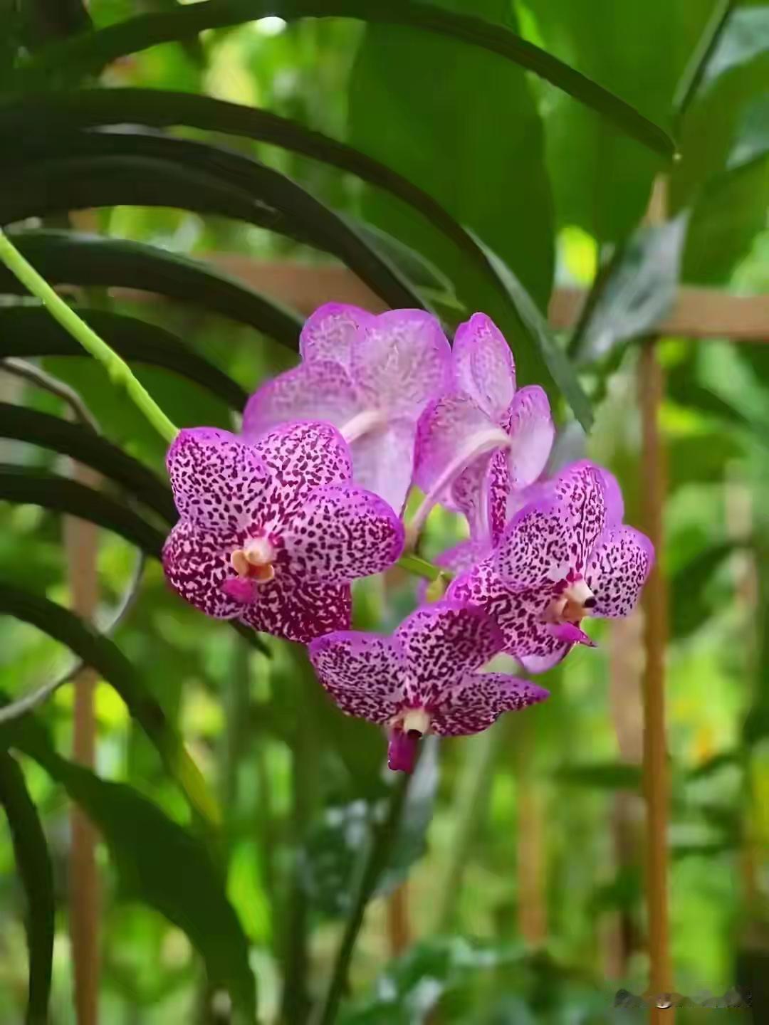 关于体检CT漏针还有更极端的。几年前我工作系统一个刚刚退休的大姐就是普通咳嗽，