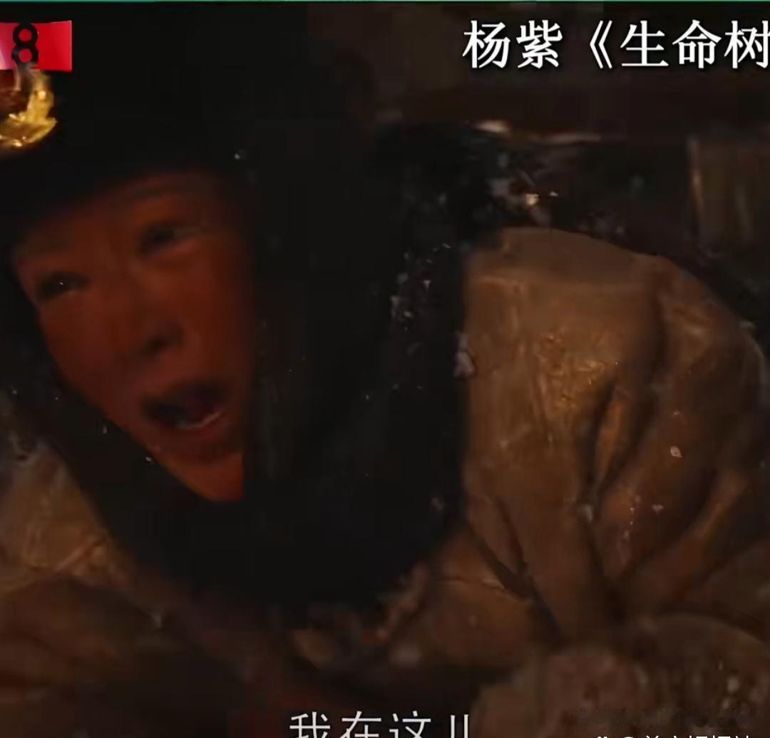 白玉兰最佳女主角，大概率会在孙俪和吴越之间产生，杨幂和杨紫更像是陪跑。杨幂这部剧