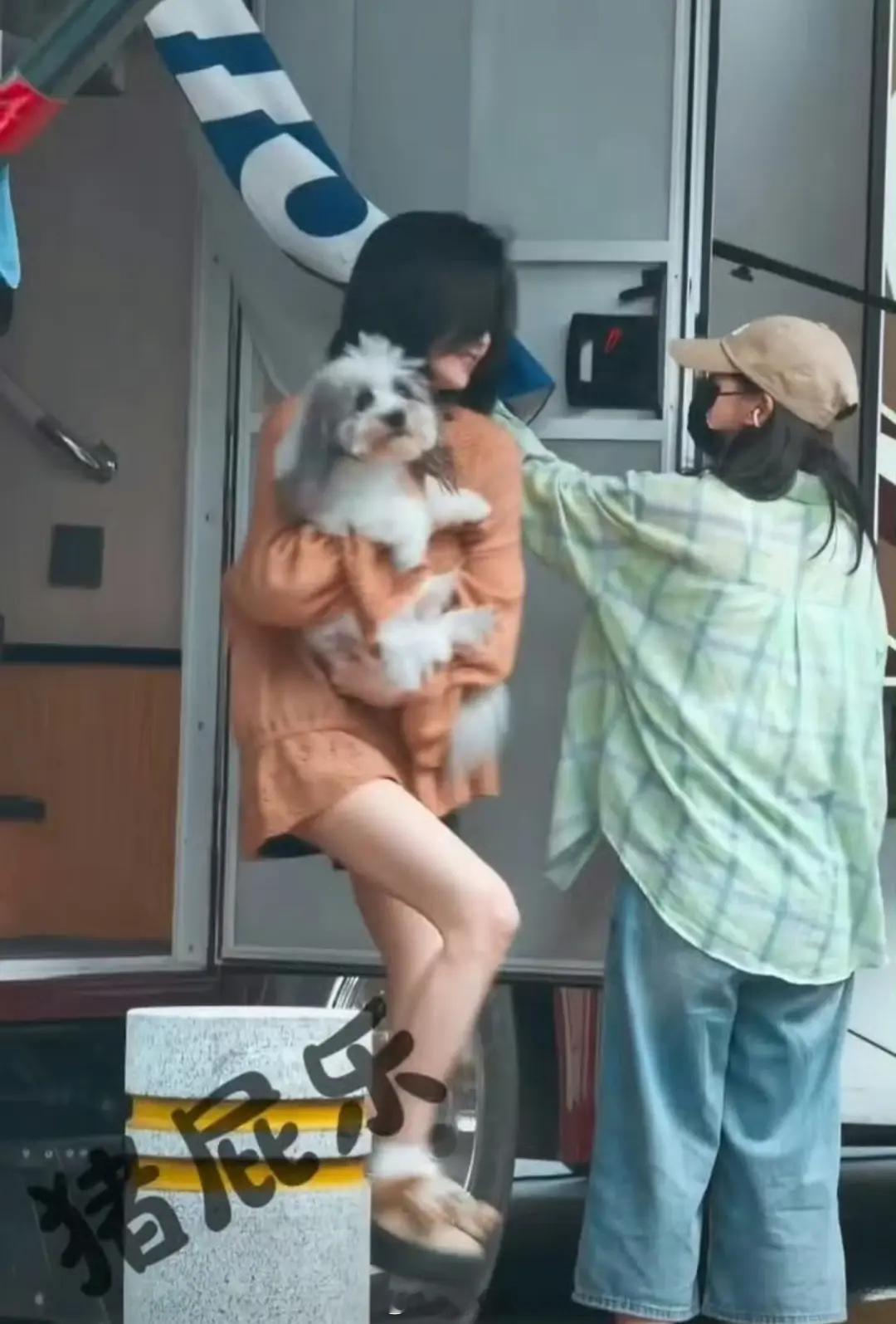 白鹿为了流量，现在开始走袁丽路线开始偷狗了吗​​​