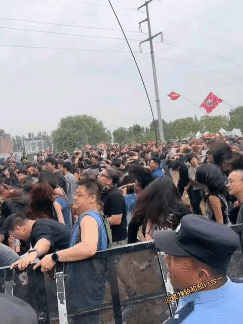 娱乐至死，宠物经济玩物丧志，加上金钱社会的挟持，诚信、品质、道德，统统被它们带入
