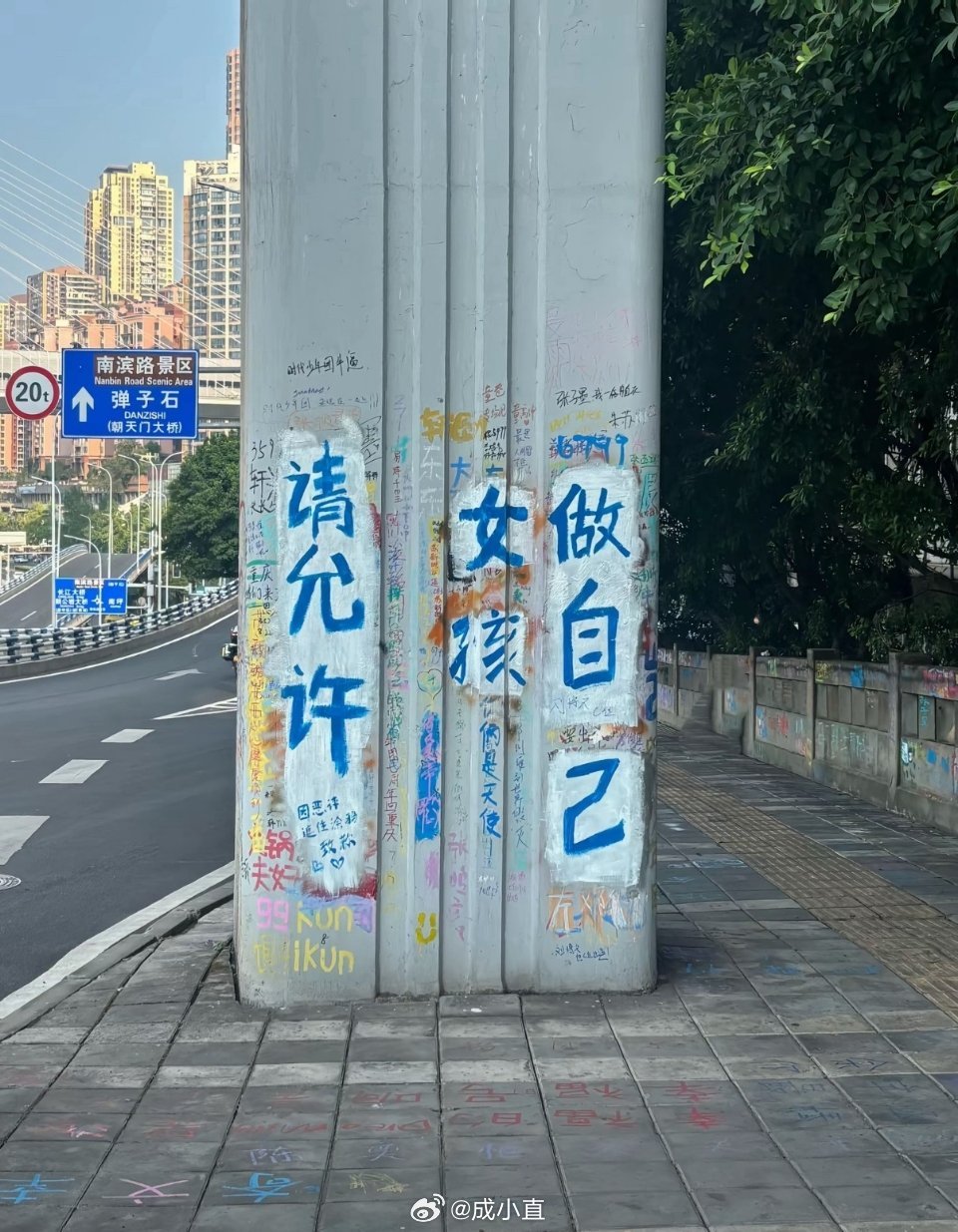 时代峰峻附近新的涂鸦没人不让女孩做自己啊！但做自己不等于就可以凌驾于他人之上乱搞……[抠鼻]​