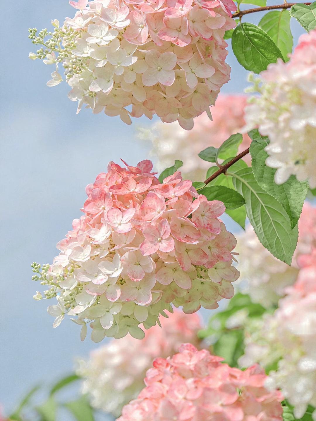 现在的00后真是厉害！三年前公司来了个00后小伙子，长相出众工作认真，当场就被