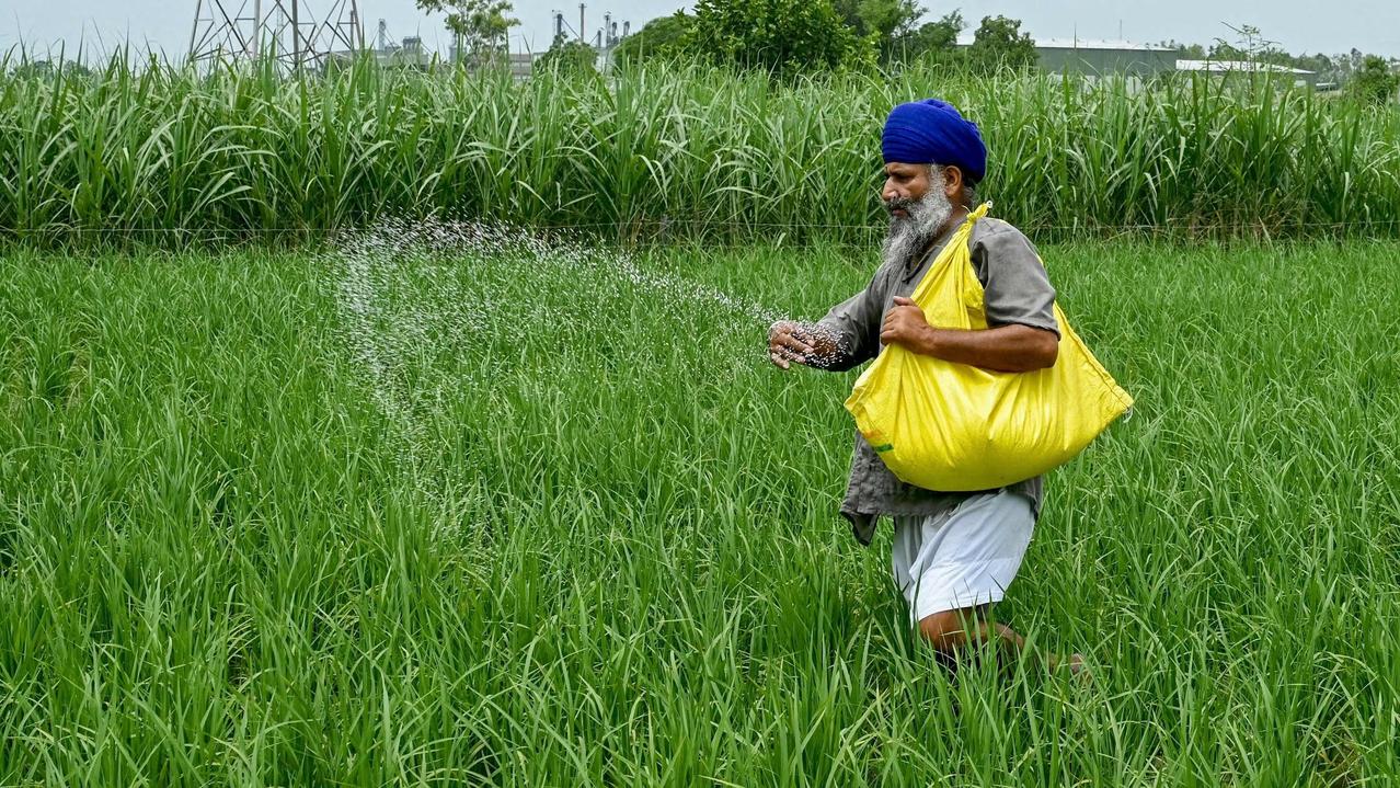 难怪莫迪政府那么急，中国再不伸出援手，印度几亿人吃饭都成问题最近，一向眼高于