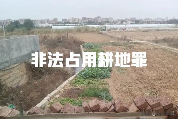 有人违法占用耕地怎么办?违法占用耕地，只要是事实，直接向自然资源局举报，自然资