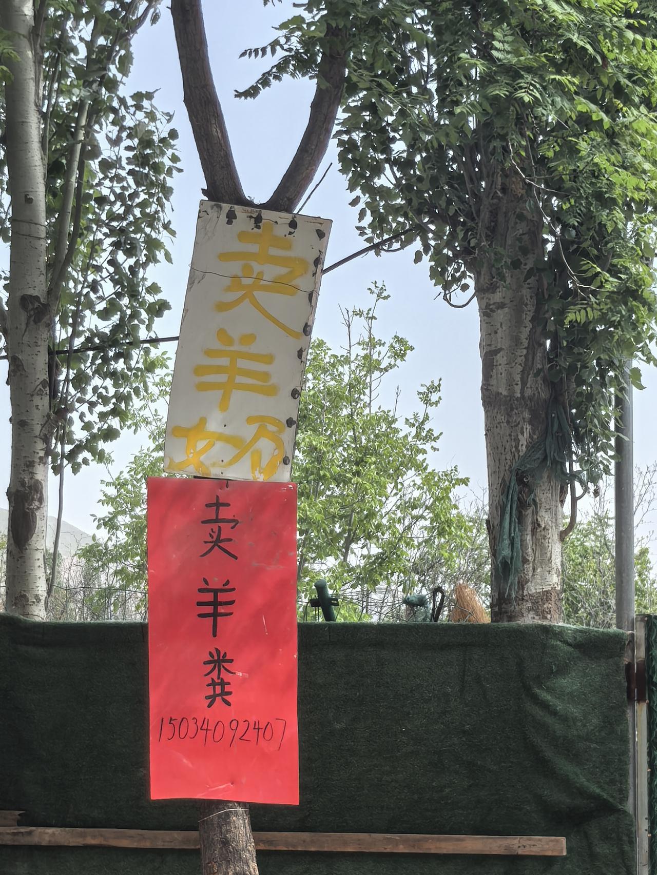 路过太原市西山附近的时候，看到了这么有趣的宣传——卖牛奶和牛粪