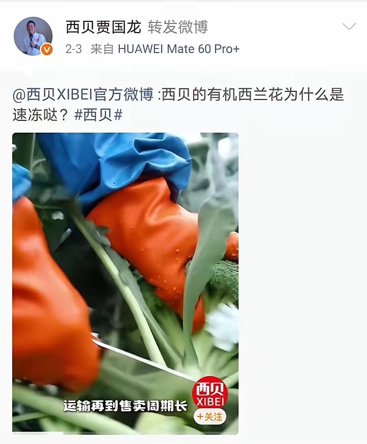 西贝贾老板执念太深可能觉得自己还没噶透还要往自己身上再浇一遍油他的账户一解