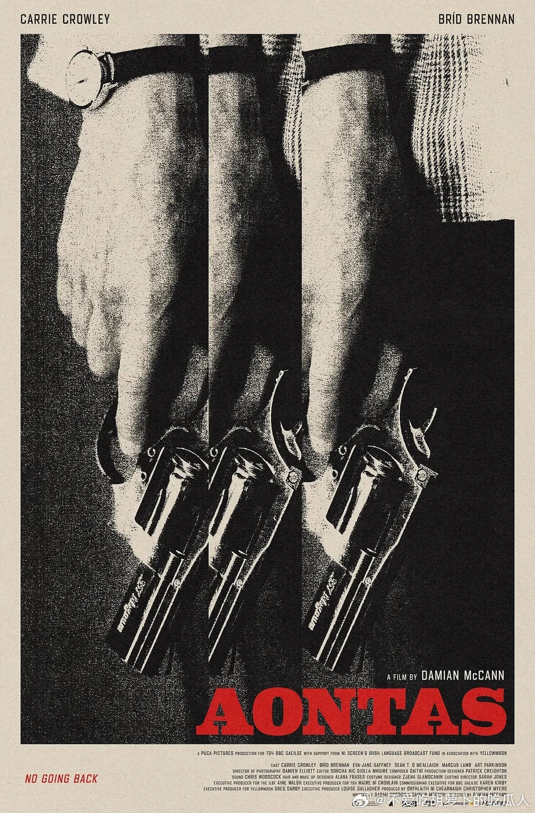 今日新剧上线爱尔兰惊悚电影挫败的人生劫案今日上线，豆瓣评分7.7，2025年