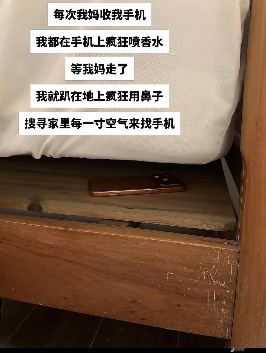 当初先生退出狗届我是极力反对的