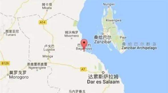 素来与中国交好的坦桑尼亚，为何在2019年突然背刺中国，有何隐情？中国和许多非洲