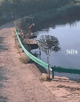 “中国好邻居！”安徽六安，一女子在河边洗衣服时不慎落水，就在这个时候，邻居一位7