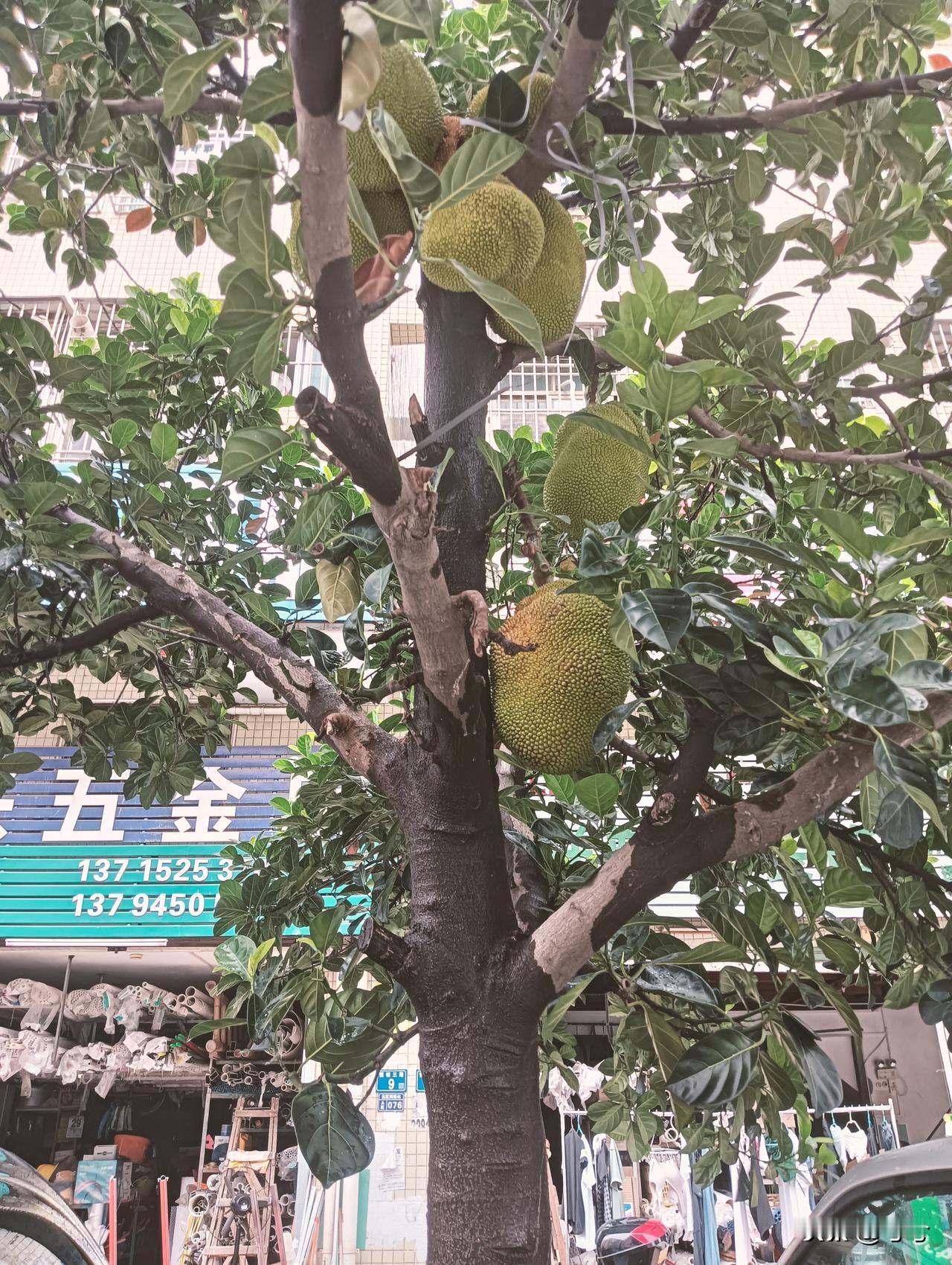 人这一辈子有人说：能征服人心的，永远不是小聪明，而是厚道；能感动人心