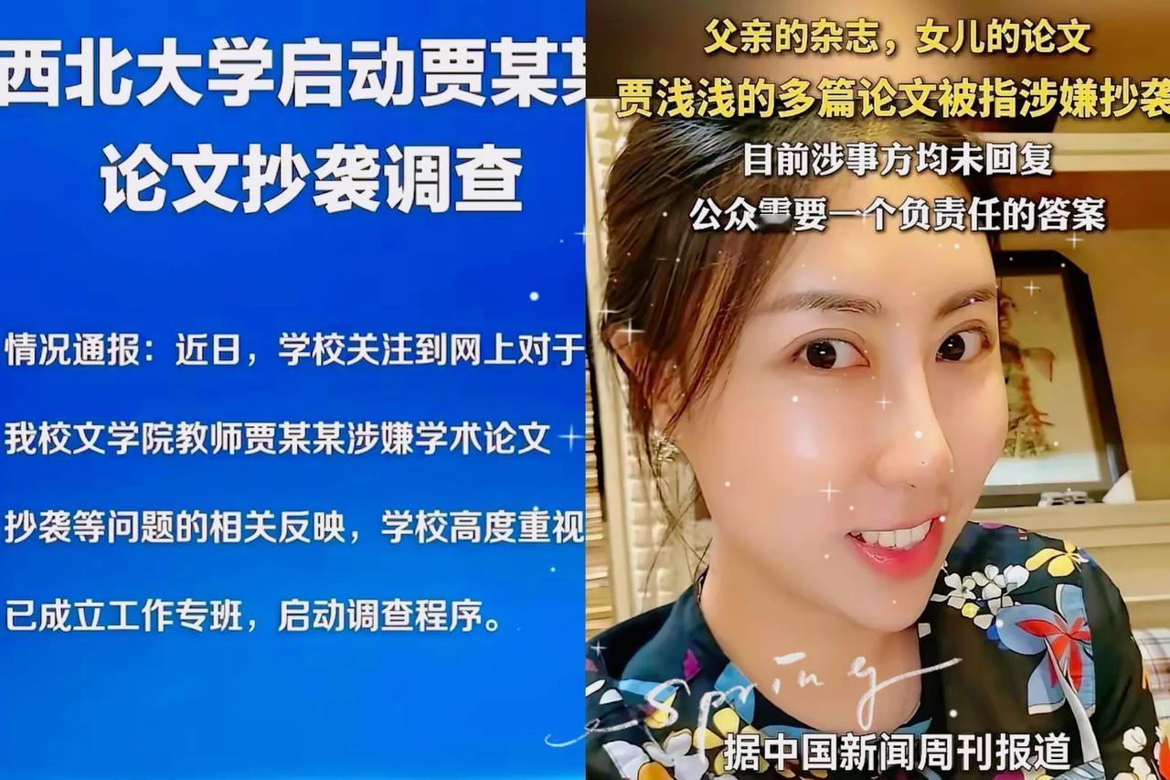 西北大学公告里“贾某某”三个字，比“贾浅浅”更耐人寻味——这哪是名字缩写，分明是