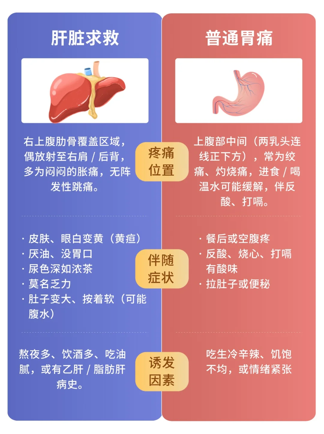 肝区隐痛别硬扛！3 步区分胃痛和肝脏求救