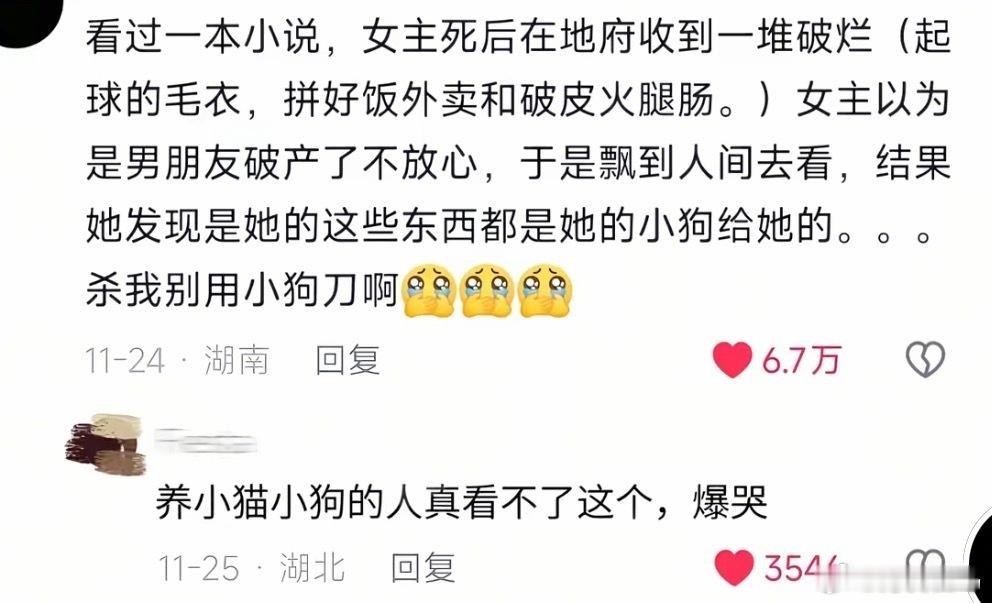 养狗养猫的最看不得这个了