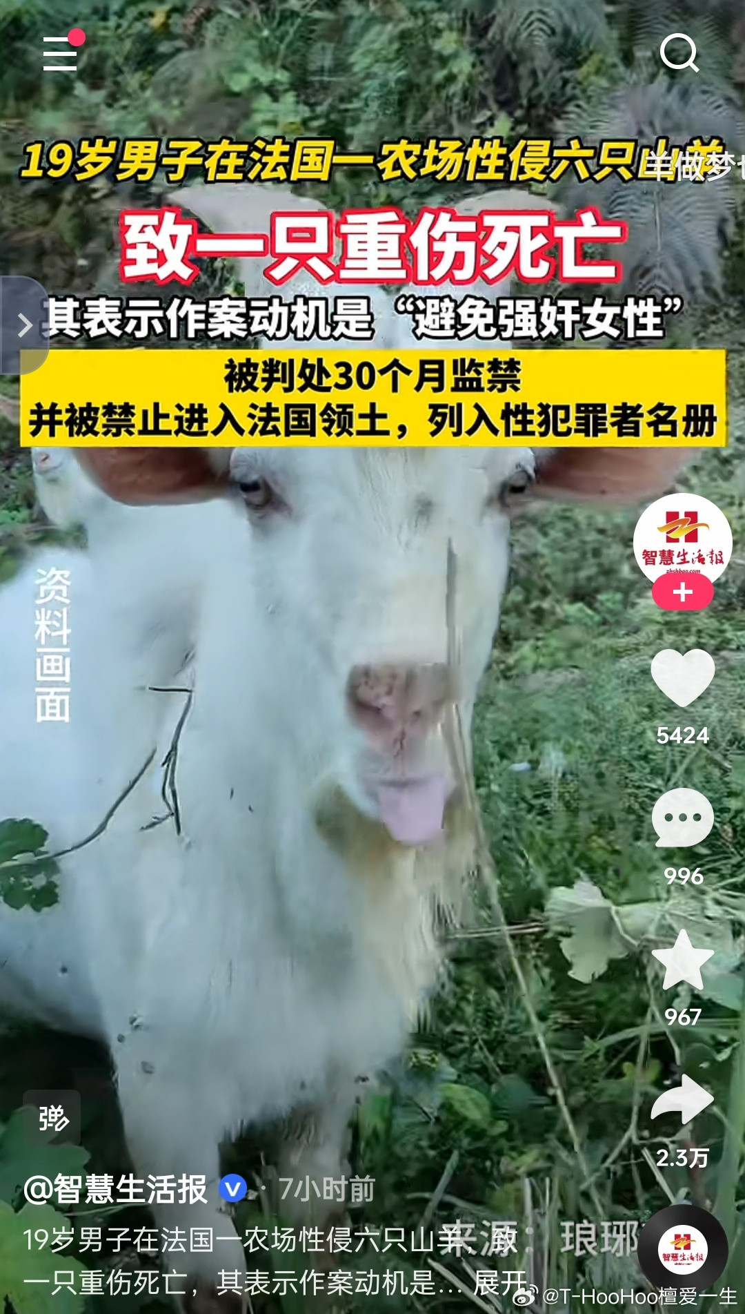 不行了我要笑抽抽了