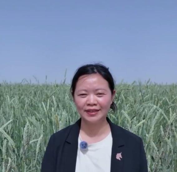那个令袁隆平挠头的女学生，2025年在新疆喀什盐碱地，种出近万亩比人还高的黑小麦