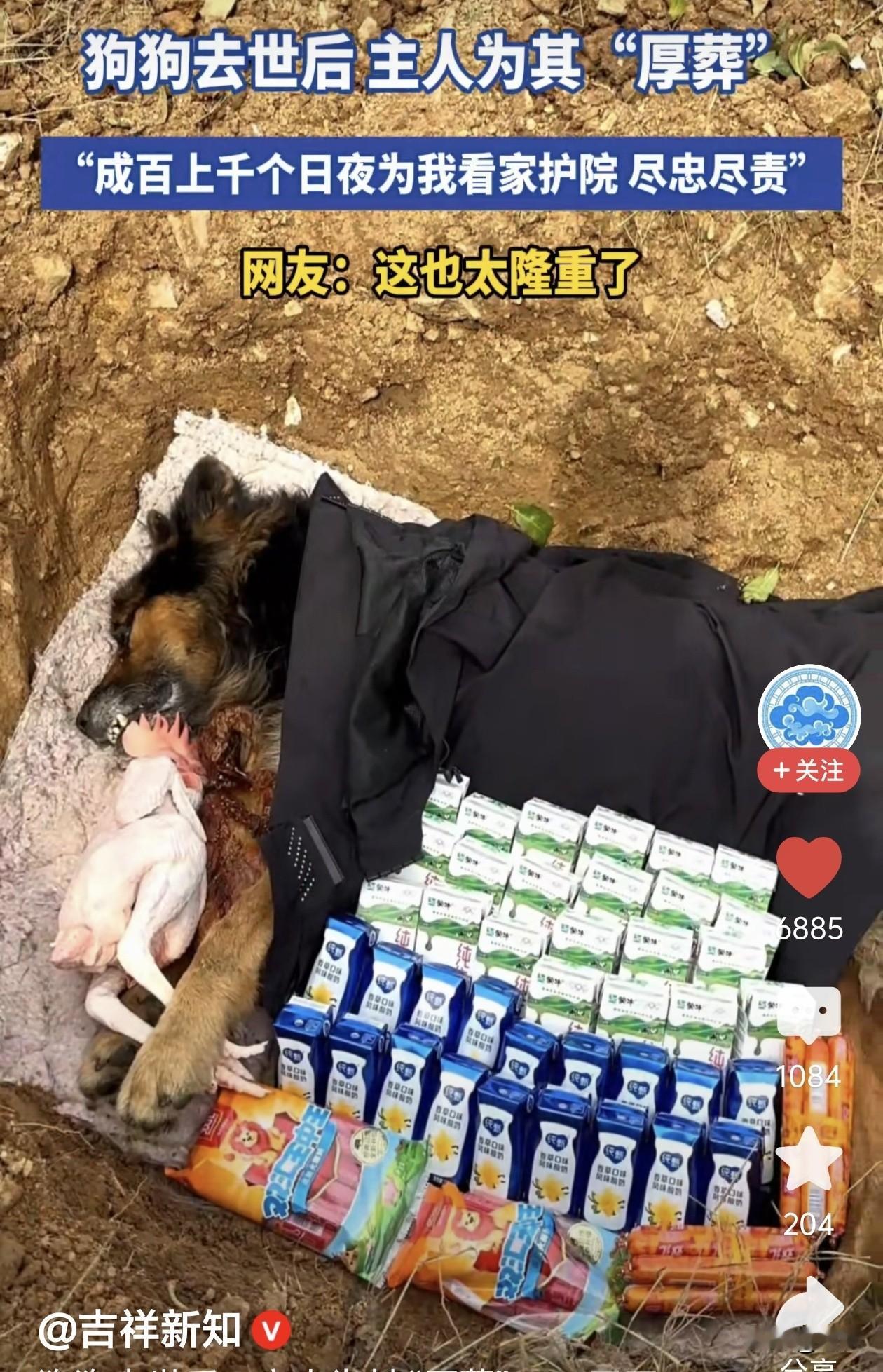 河南，养了十几年的狗走了，主人为其挖墓穴将它“厚葬”，把小狗平日爱吃的零食放在坑