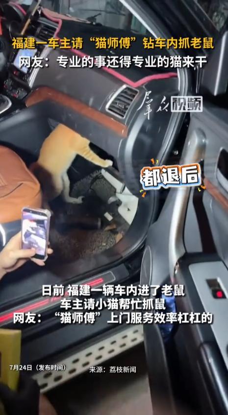“这个就叫专业！”7月24日报道，福建，一车主发现自己车里面有异响，找了半天发现