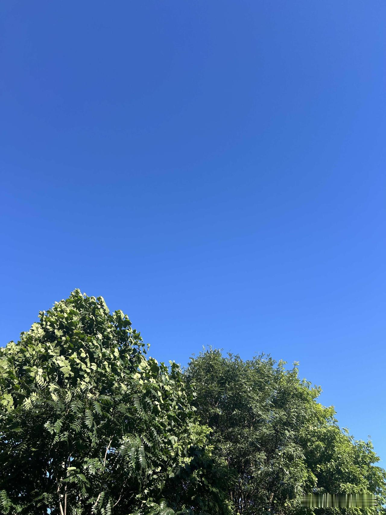 昨晚回家和小闺女去超市买水果，回家的路上过马路，一辆车开的飞快擦我而过，我顺手把