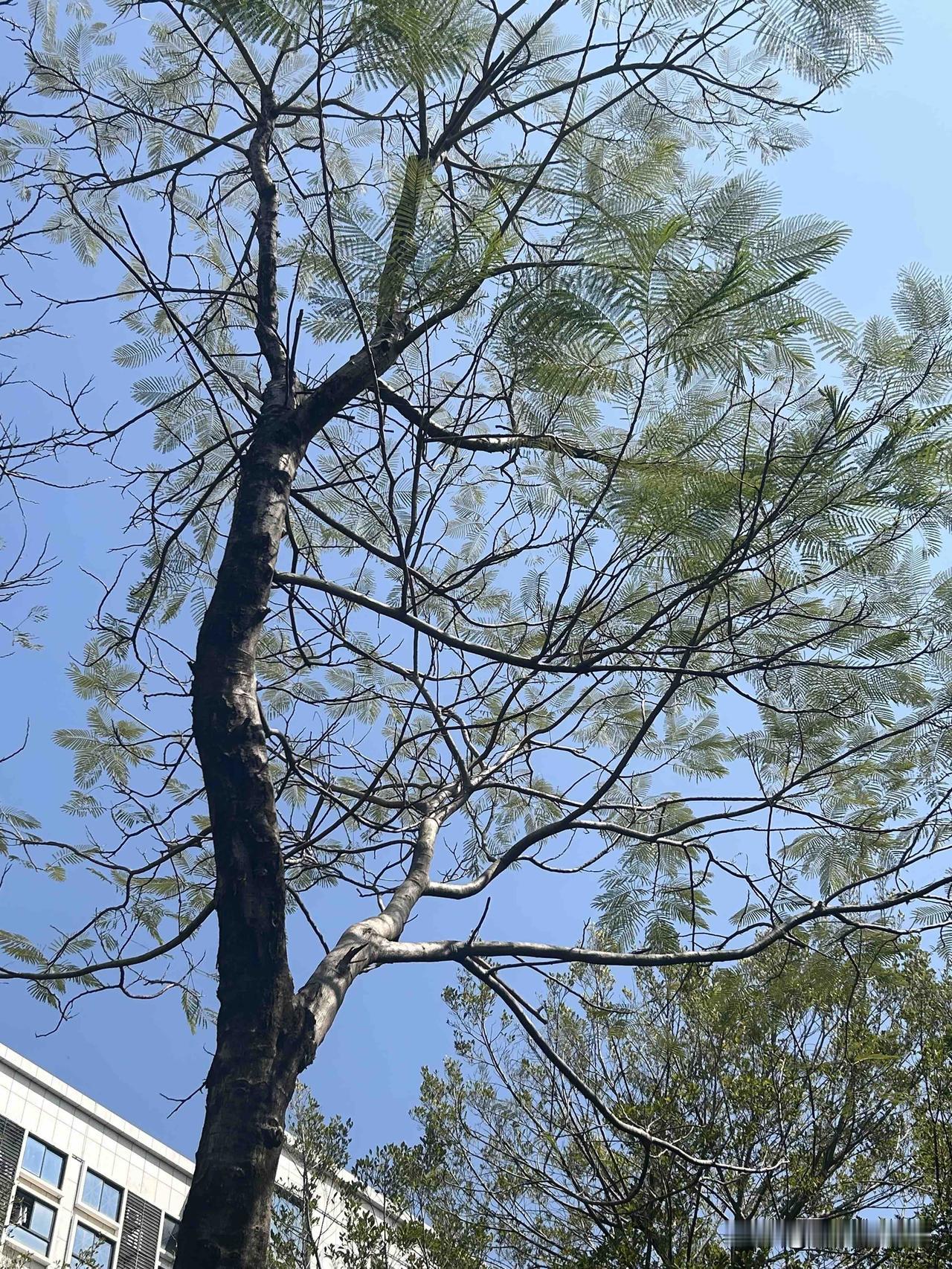 已经接受找不到工作的现实我毕业一年半没有什么工作经验，总会有比你更优秀的人。我