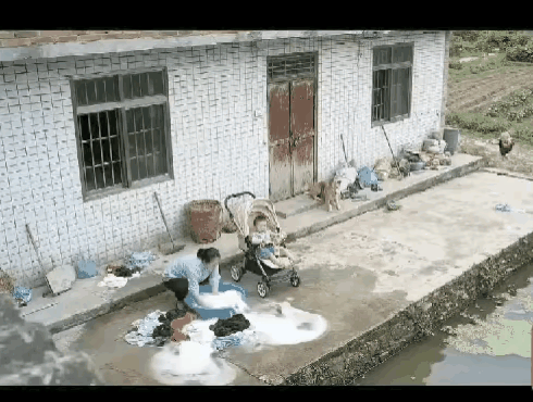 一位阿姨养了一只狗狗，这只狗狗非常的听话，阿姨一家人也特别喜欢它，这天阿姨在那里