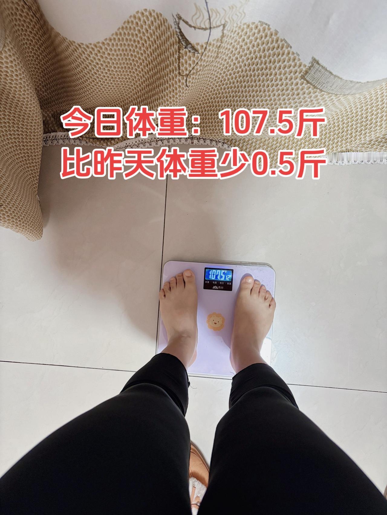 泪水发誓我的减脂餐，发誓瘦到105斤今日减脂早餐：豆浆+鸡蛋+玉米+坚果体重