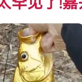 太罕见了！浙江嘉兴，有一男子在野外河里，钓到条金灿灿的翘嘴鱼。本是寻常一次