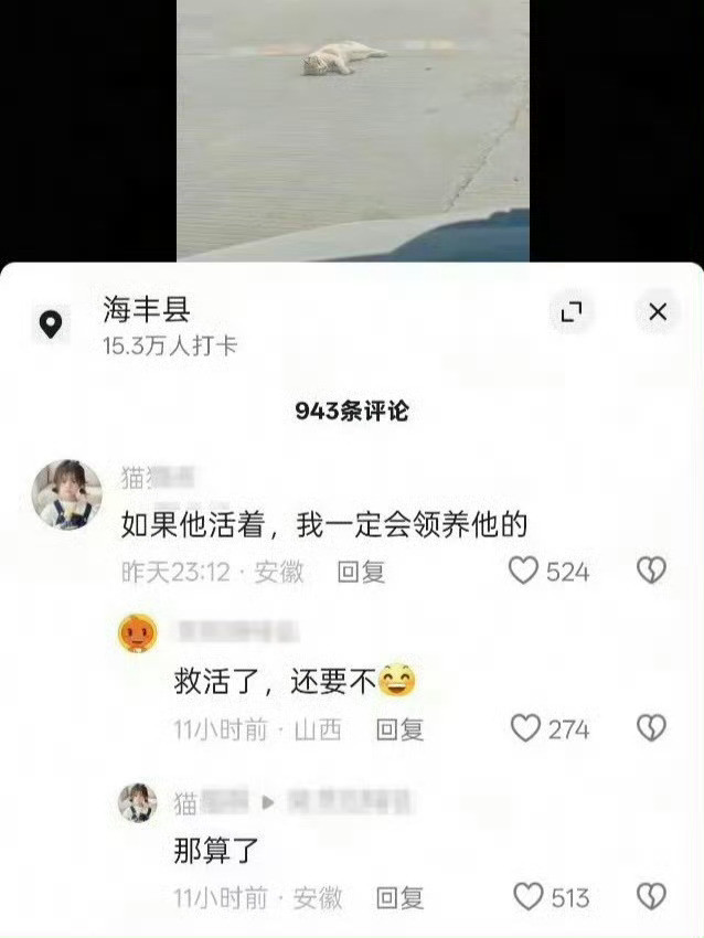 哈基米血条越高，它们的收养欲望越低​​​