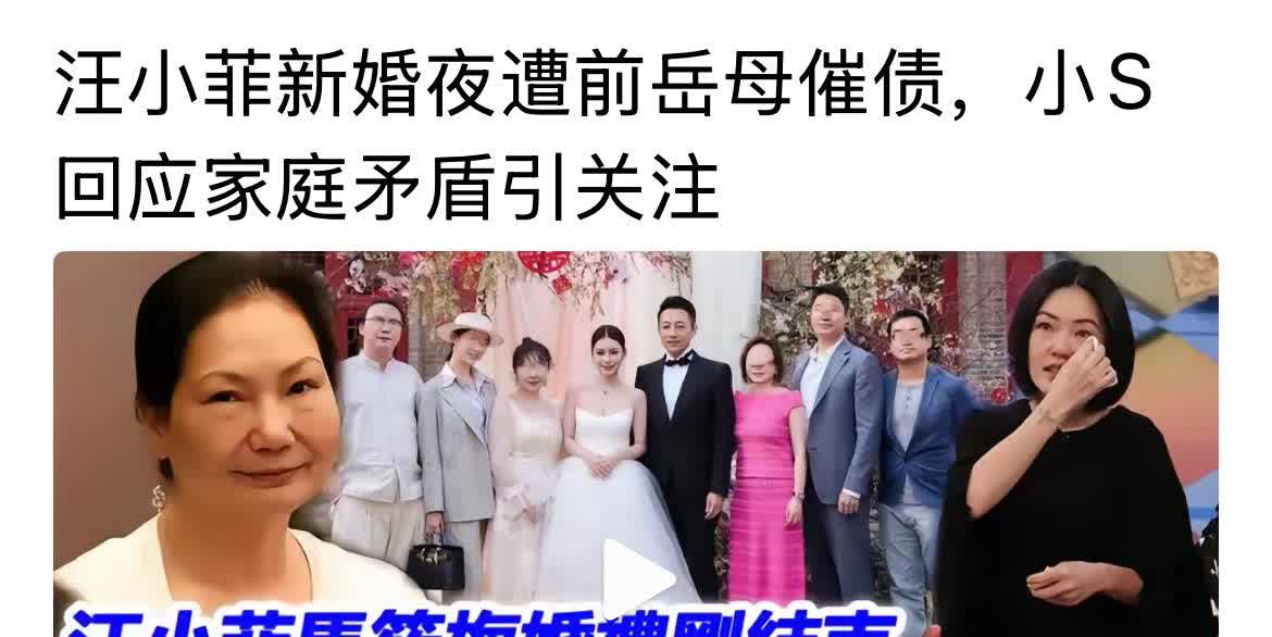 徐妈妈原本没有打算叫小菲还钱的呢？主要是她看到小菲再婚摆酒了，心里越想越气，真的
