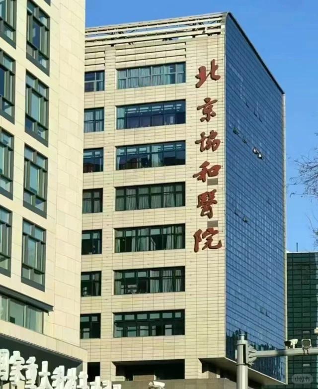 北京协和医院门口的马路每天都人满为患，聚集着全国各地来看疑难杂症的患者，这其中也
