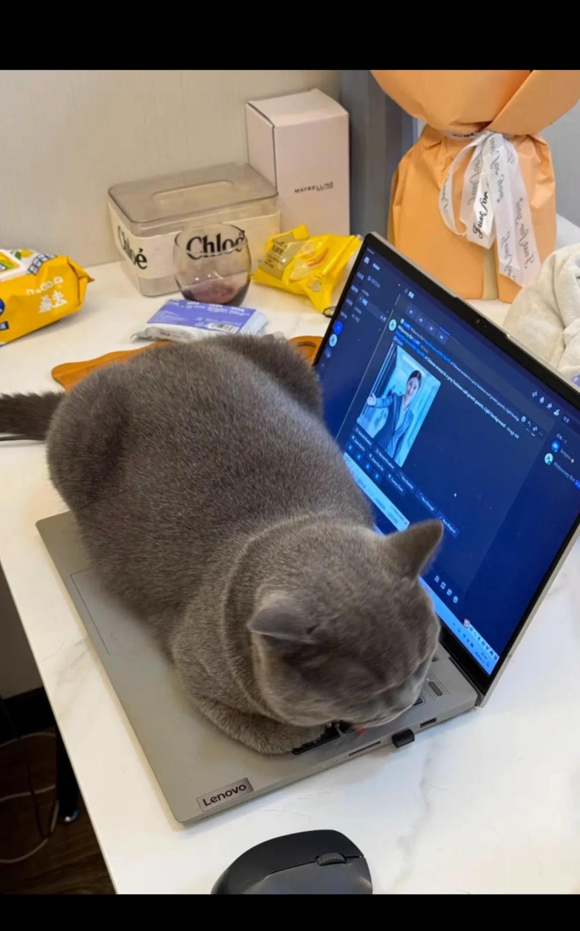 宝宝这里禁止🚫停车🅿️[捂脸哭]