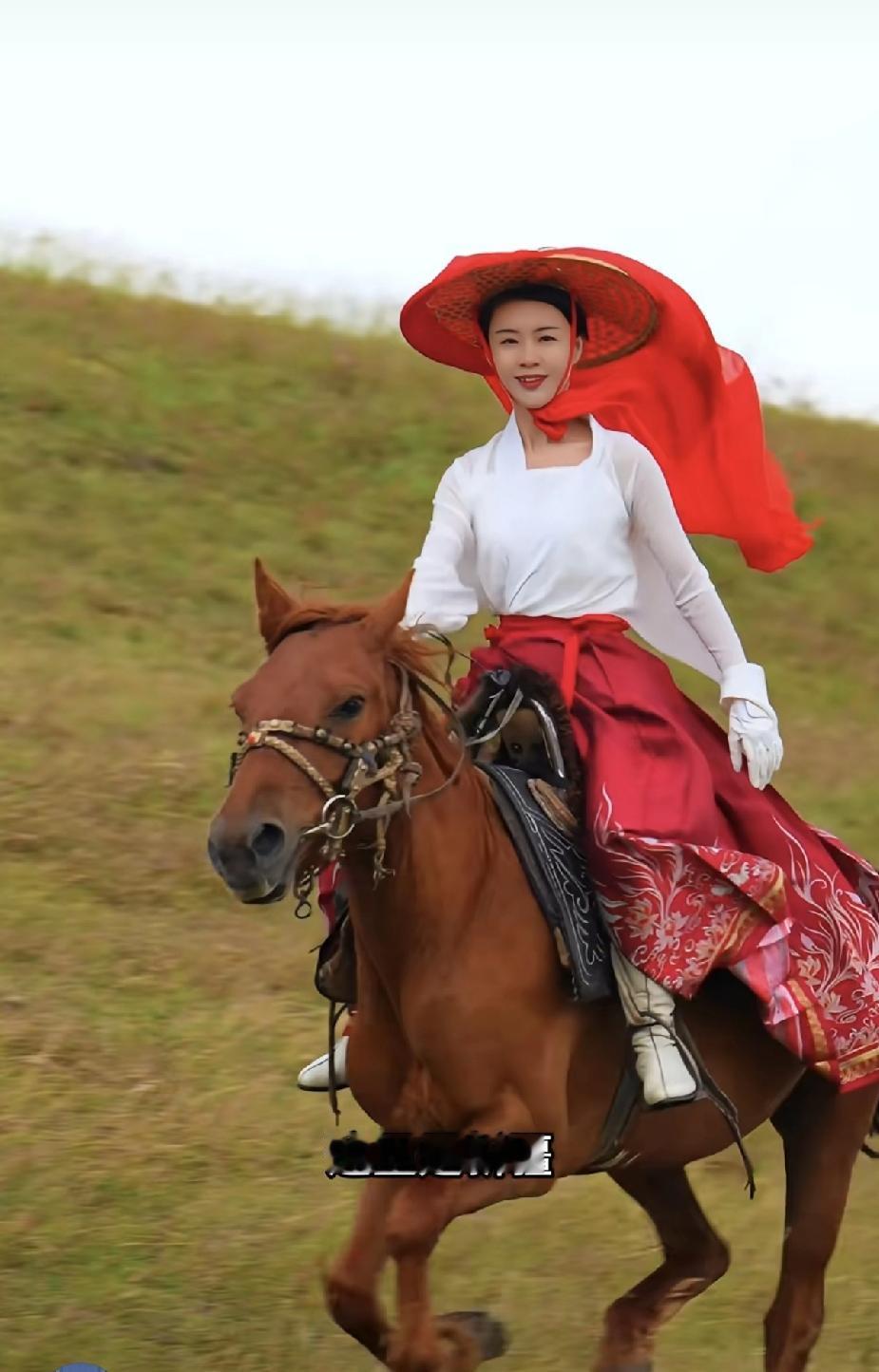 查了一下贺娇龙，才知道她对几乎没听说过的昭苏县，贡献有多大？除了她骑骑马拍拍