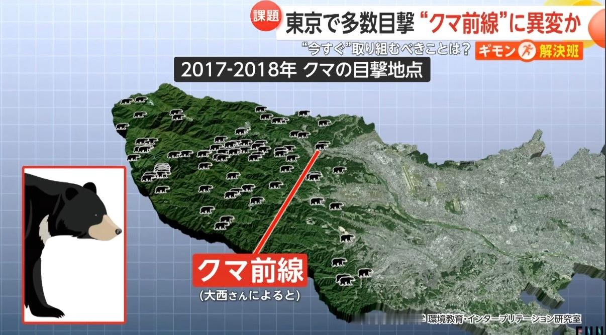 🔻根据日本媒体的报道，日本的熊快上洛了。热点现场海外新鲜事​​​