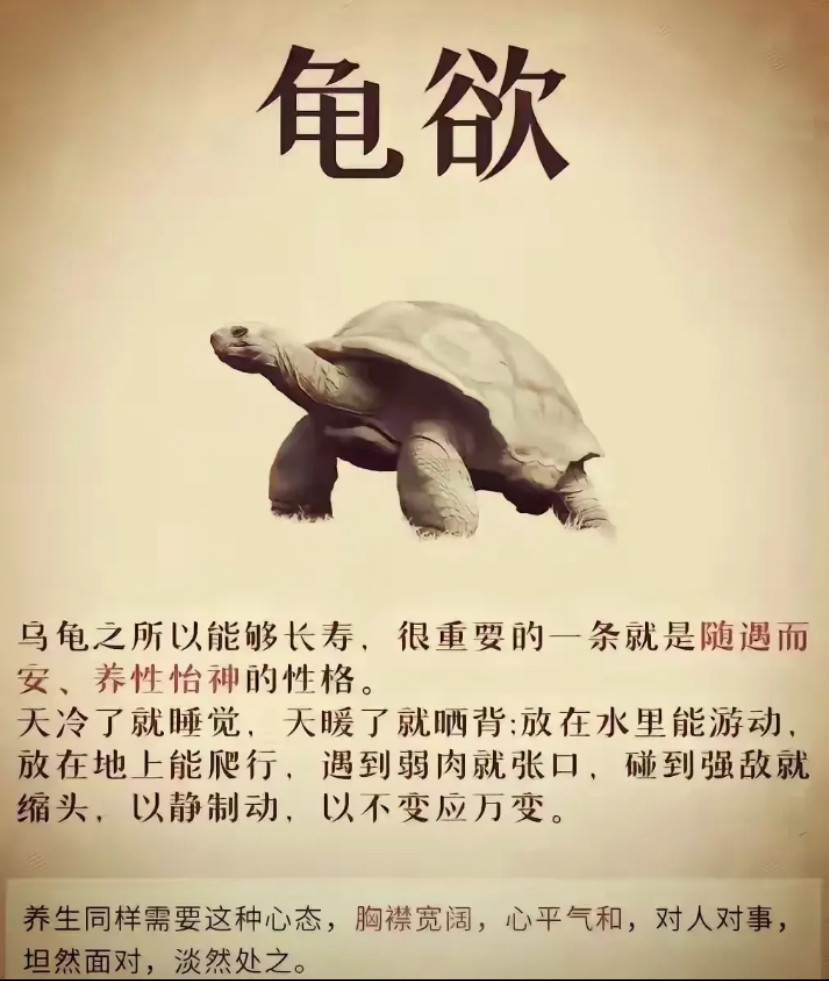说得很有道理，强调中庸之道！