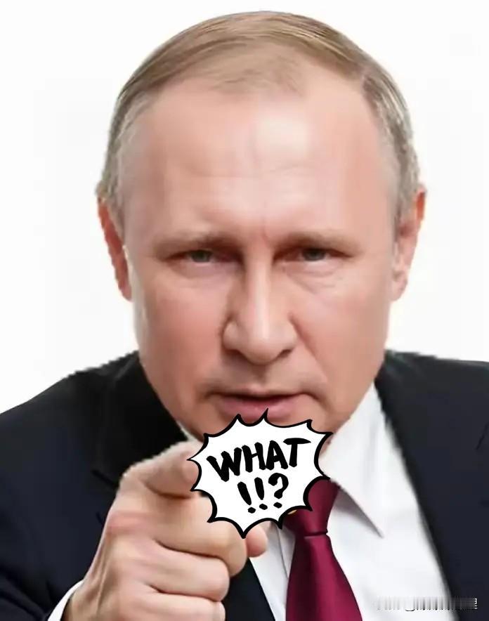 快报！快报！普京宣布了消息阿拉伯国家领导人能不能在15日如期出现在莫斯科？