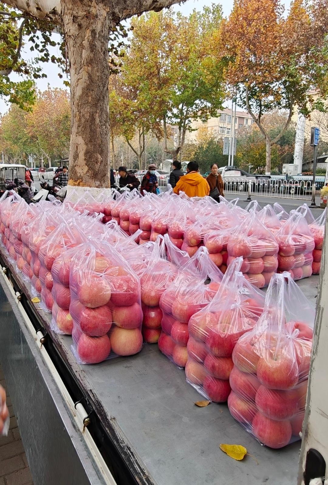 跟风可以，但要学精髓呀！苹果哥爆红不只是摆得整齐，更因大小颜色统一、品质无差，只
