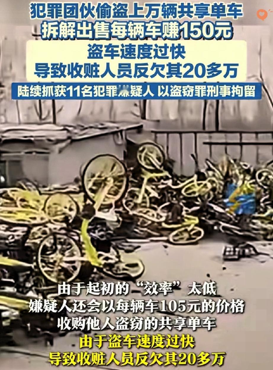 警察都看懵了！上海这伙小偷简直“卷”到离谱，11个人偷了上万辆共享单车，涉案