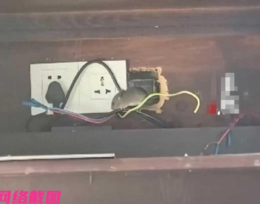 海南陵水有男子带着家人在这里旅游，还在某家酒店开一间带泳池的别墅房间，虽说花费九