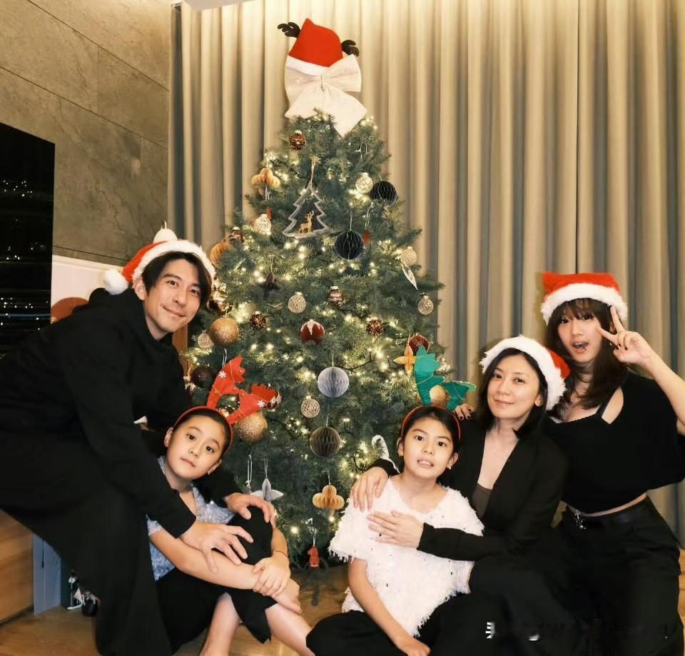 贾静雯上热搜了。原因是圣诞节这天，她晒出了圣诞树🎄，以及全家人戴圣诞帽庆祝