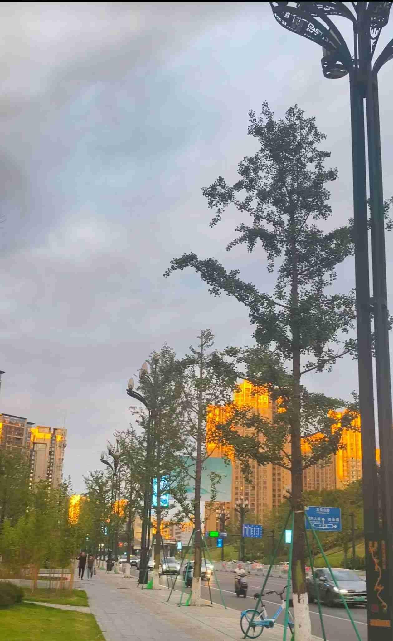 警惕，AI在大量毁灭人类的认知！当越来越多的人在用AI的时候，不知道大家有没