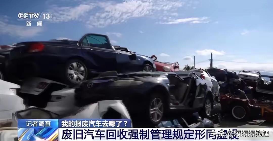 山东临沂这回动静闹得真不小。大半夜的，好几个部门联合出动，直接奔着那些搞报废车拆