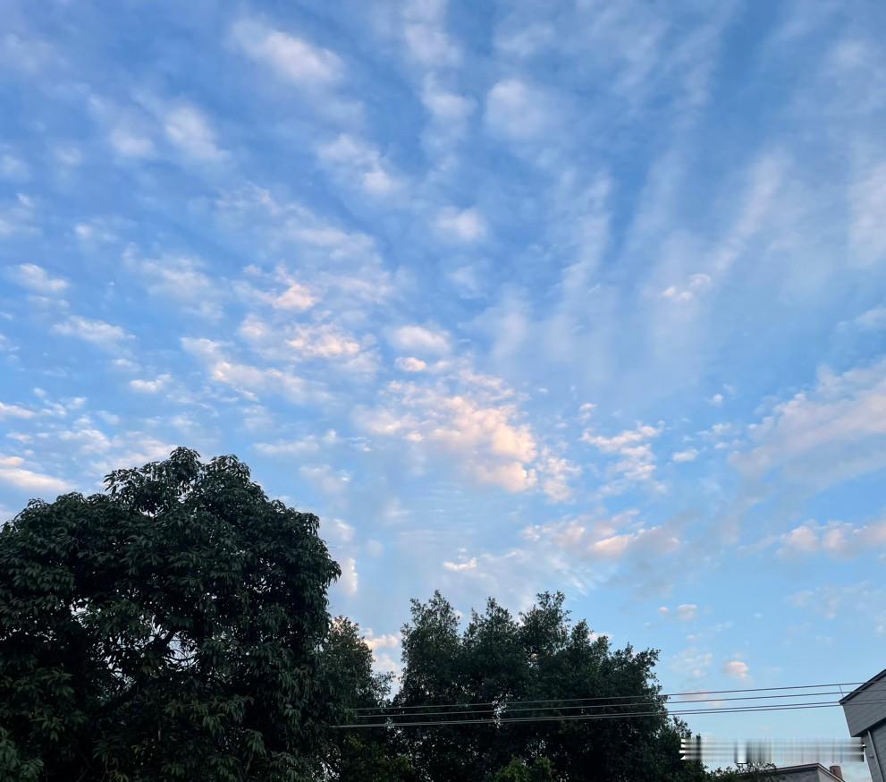 找结婚对象一定尽量找家世清白的家庭。一阿姨，儿子谈了一个女朋友，现在到了订婚阶段