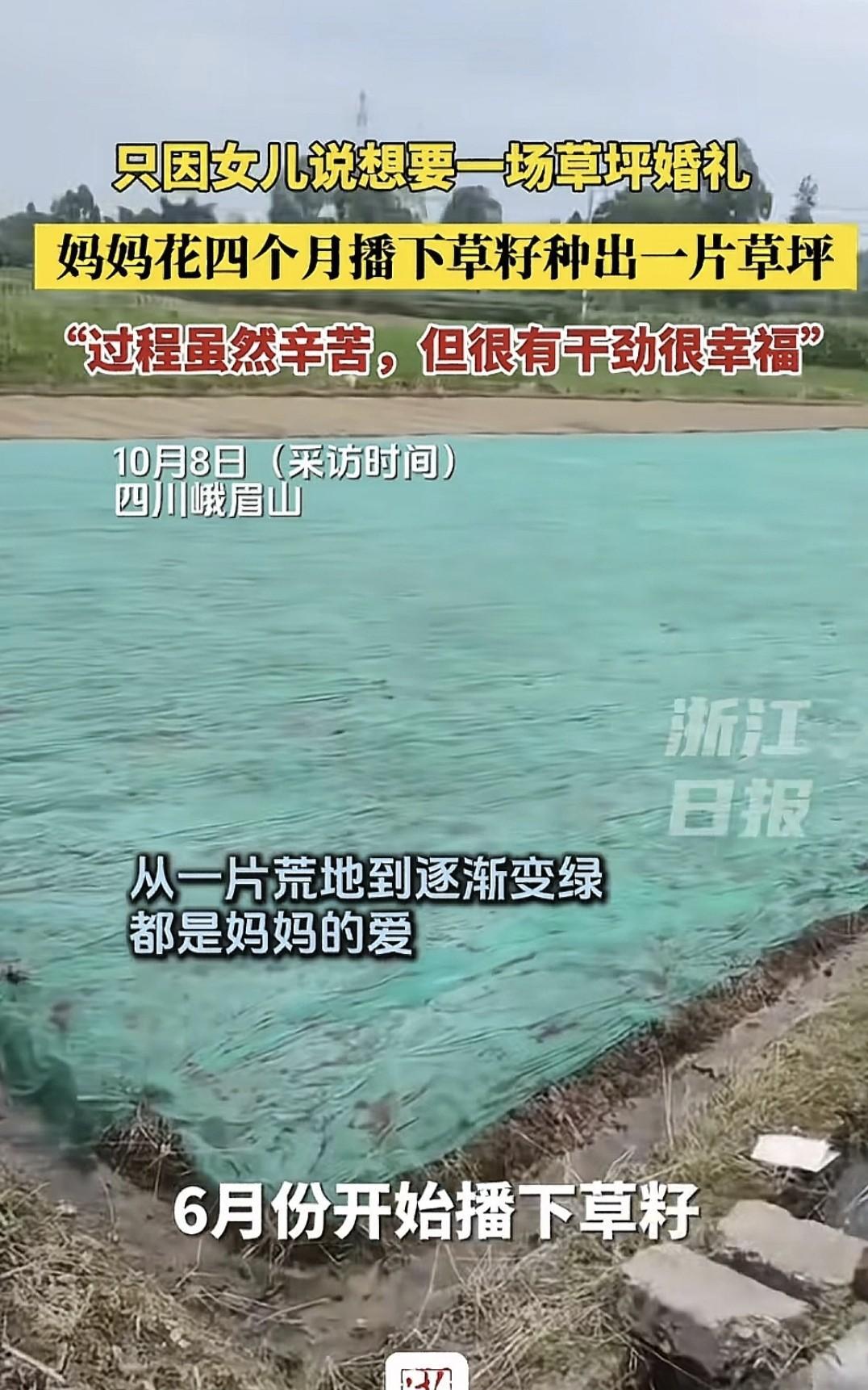 四川峨眉山的这位妈妈真有心，只因女儿想要一场草坪婚礼，但打听到酒店草坪租金太贵，