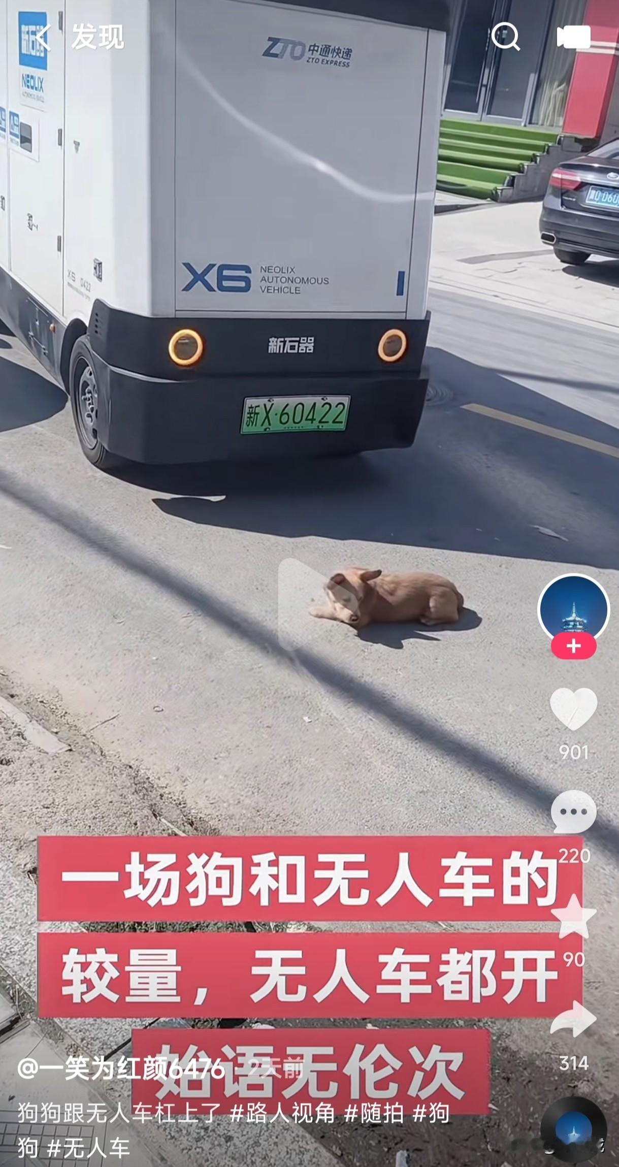 天不怕地不怕在路上畅通无阻的无人快递车，也会遇到比它强的对手，两个不会说话的这是