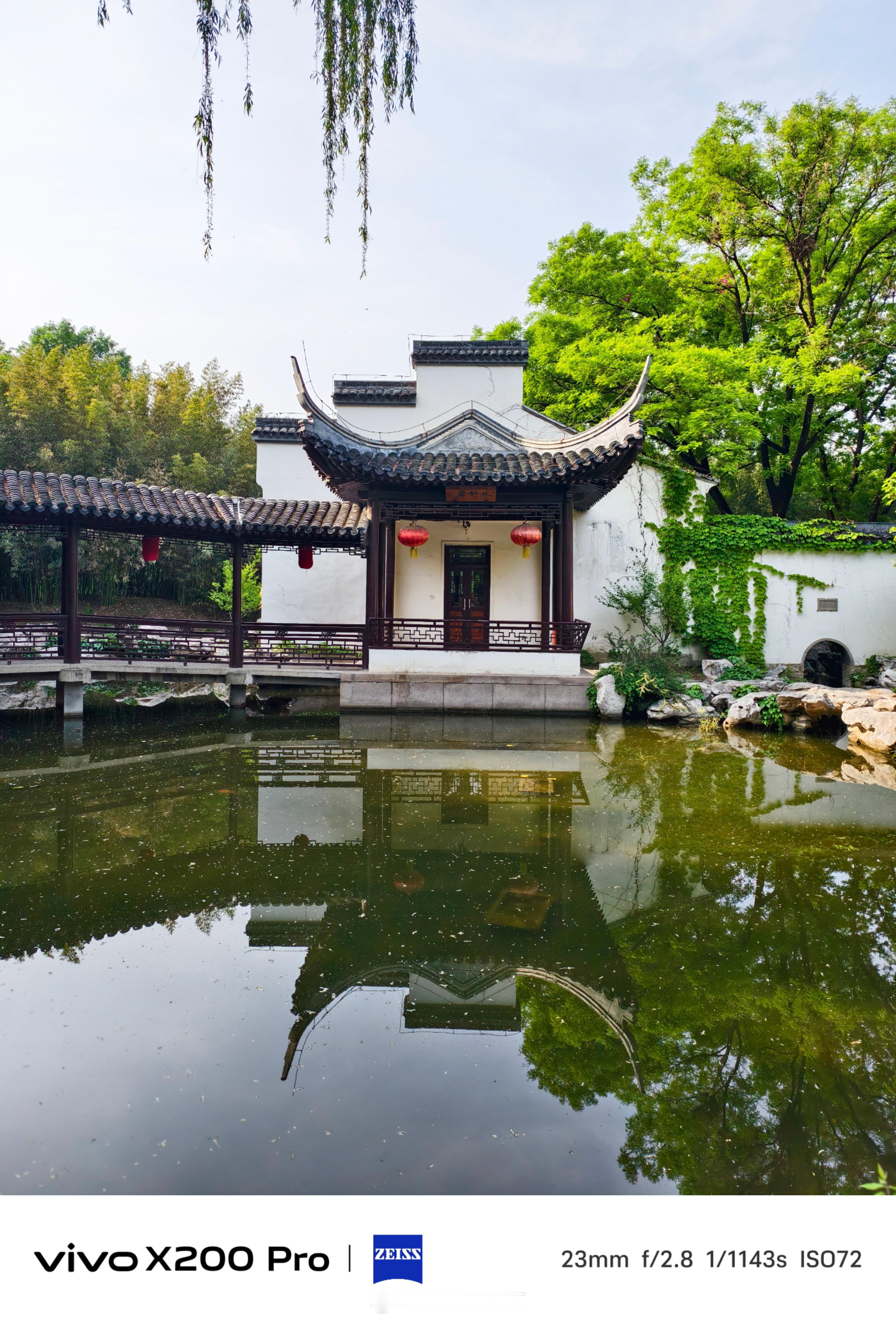 《初夏的紫竹院》北京紫竹院公园，是一座因大面积种植各种竹子而闻名的市属免费公园，