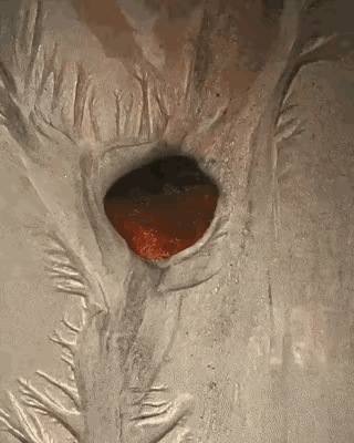 这个有一说一，没有艺术细胞真的想不到还可以这样拍。