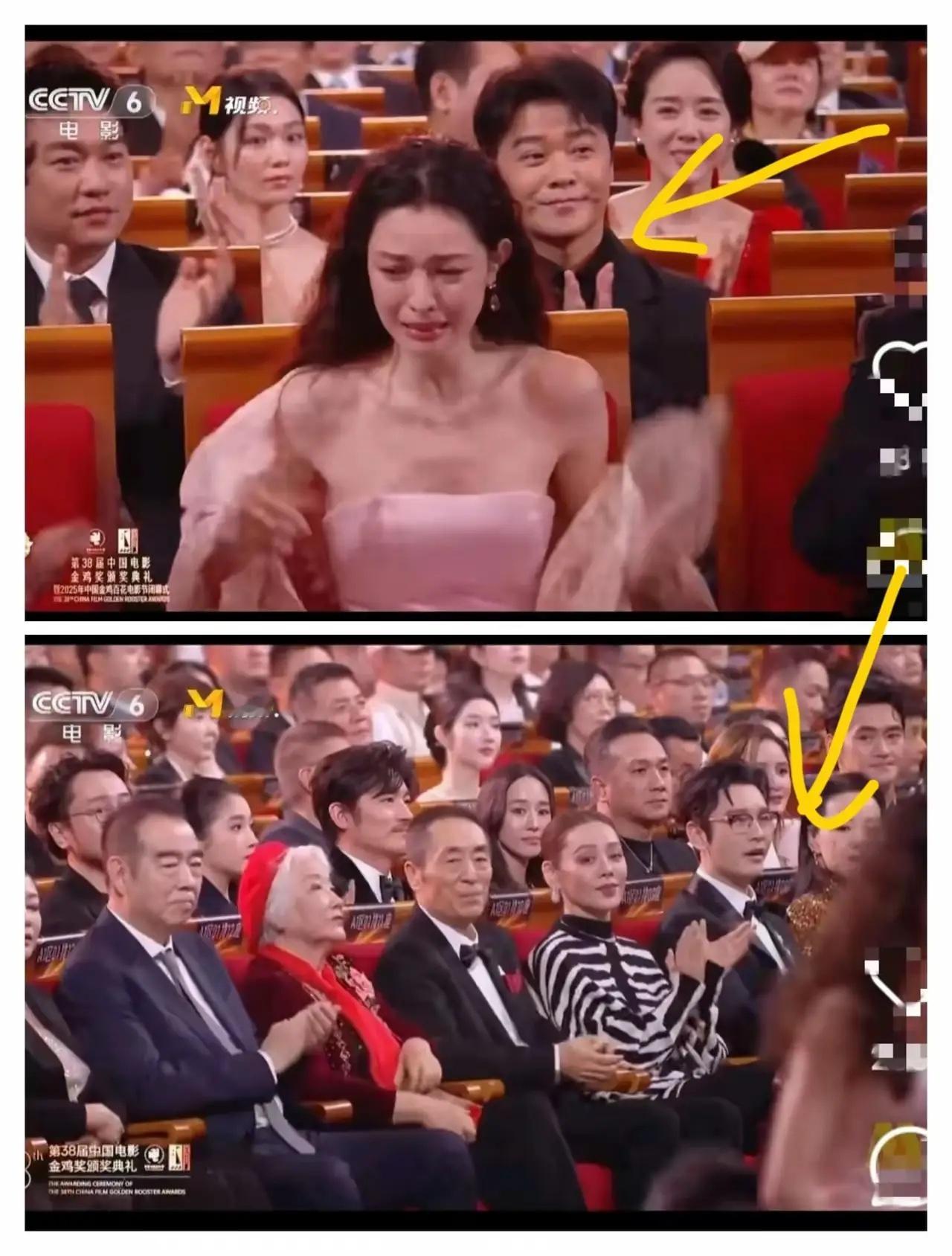 真的是笑不活了我又去看了看钟楚曦拿奖的视频我才发现，当时宣布钟楚曦是最佳女配角的