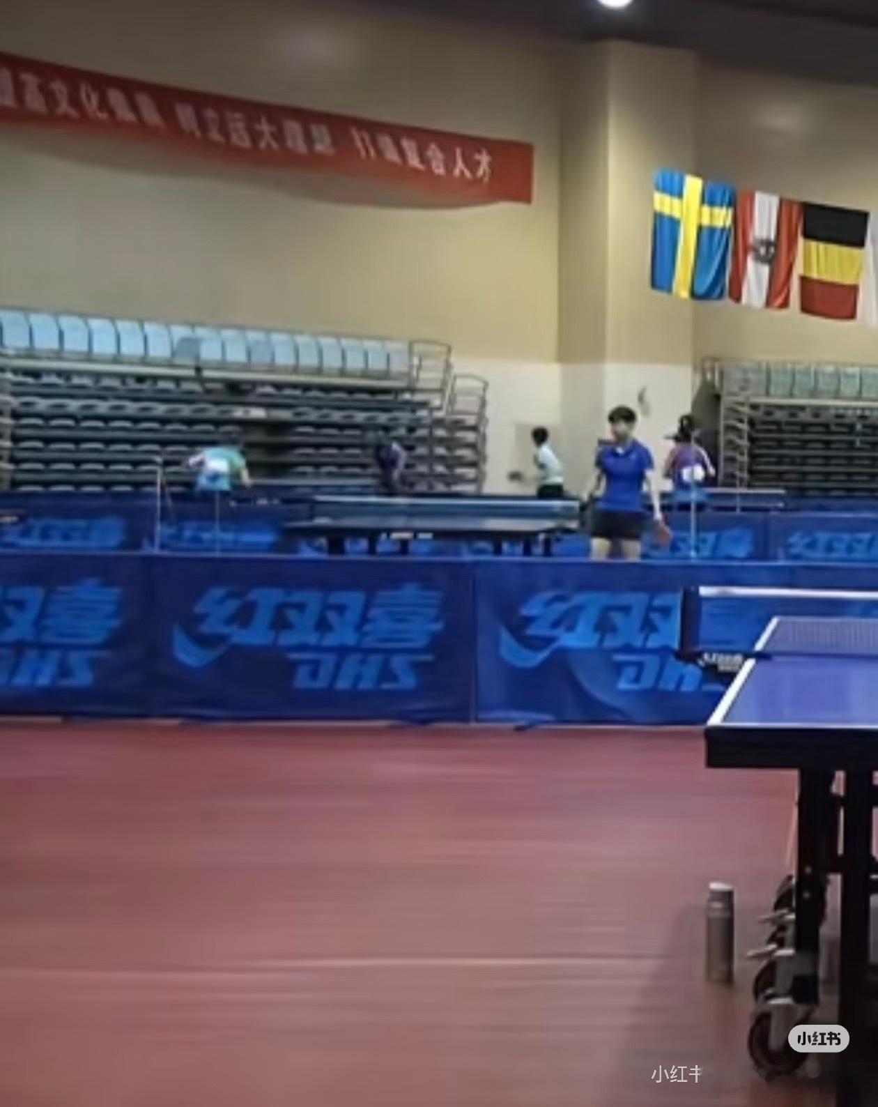 好可爱的像素小莎🥰