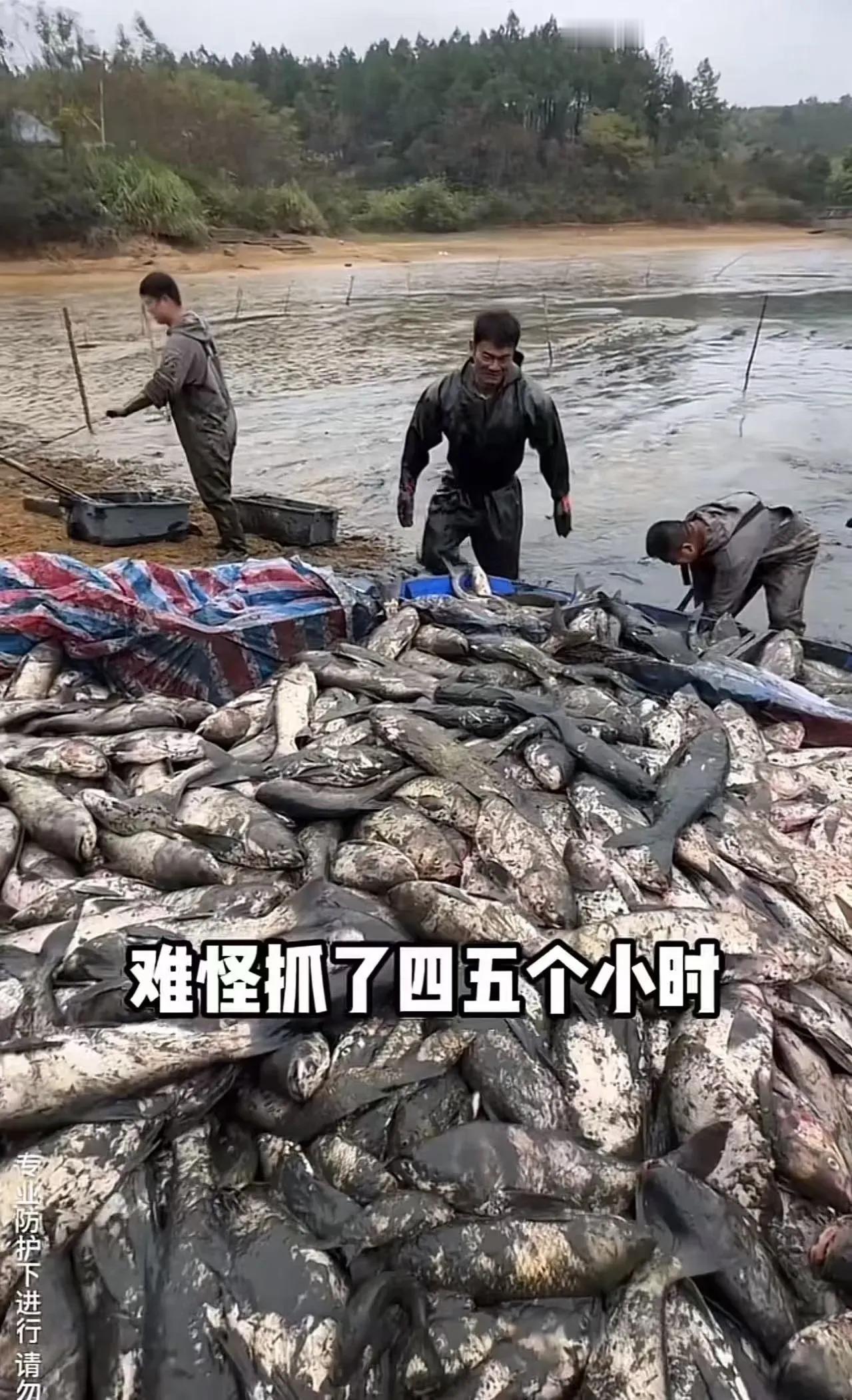 看哭了！湖南衡阳，19岁男生的故事，像一阵温暖的风，轻轻拂过心头。父亲因病去世，