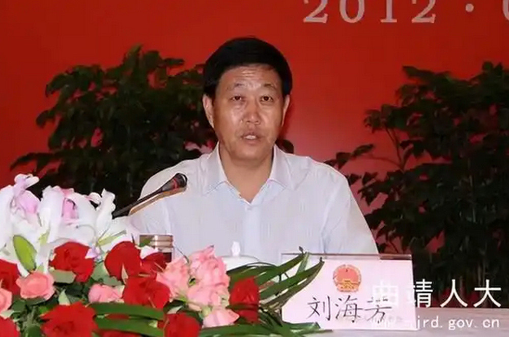 退休9年后主动投案, 云南曲靖市人大常委会原主任刘海芳被开除党籍